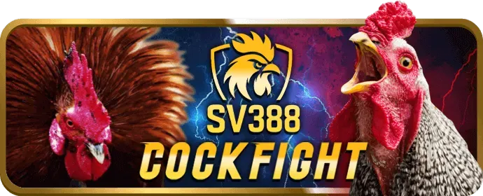 Bàn chơi Blackjack với người chia bài