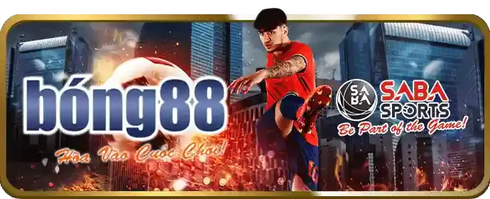 Hoàn trả cược hàng tuần cho cá cược thể thao